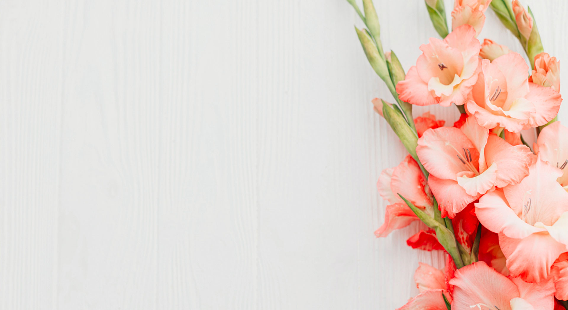 Image Slider