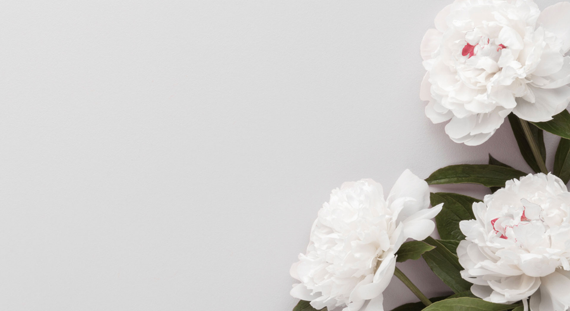 Image Slider